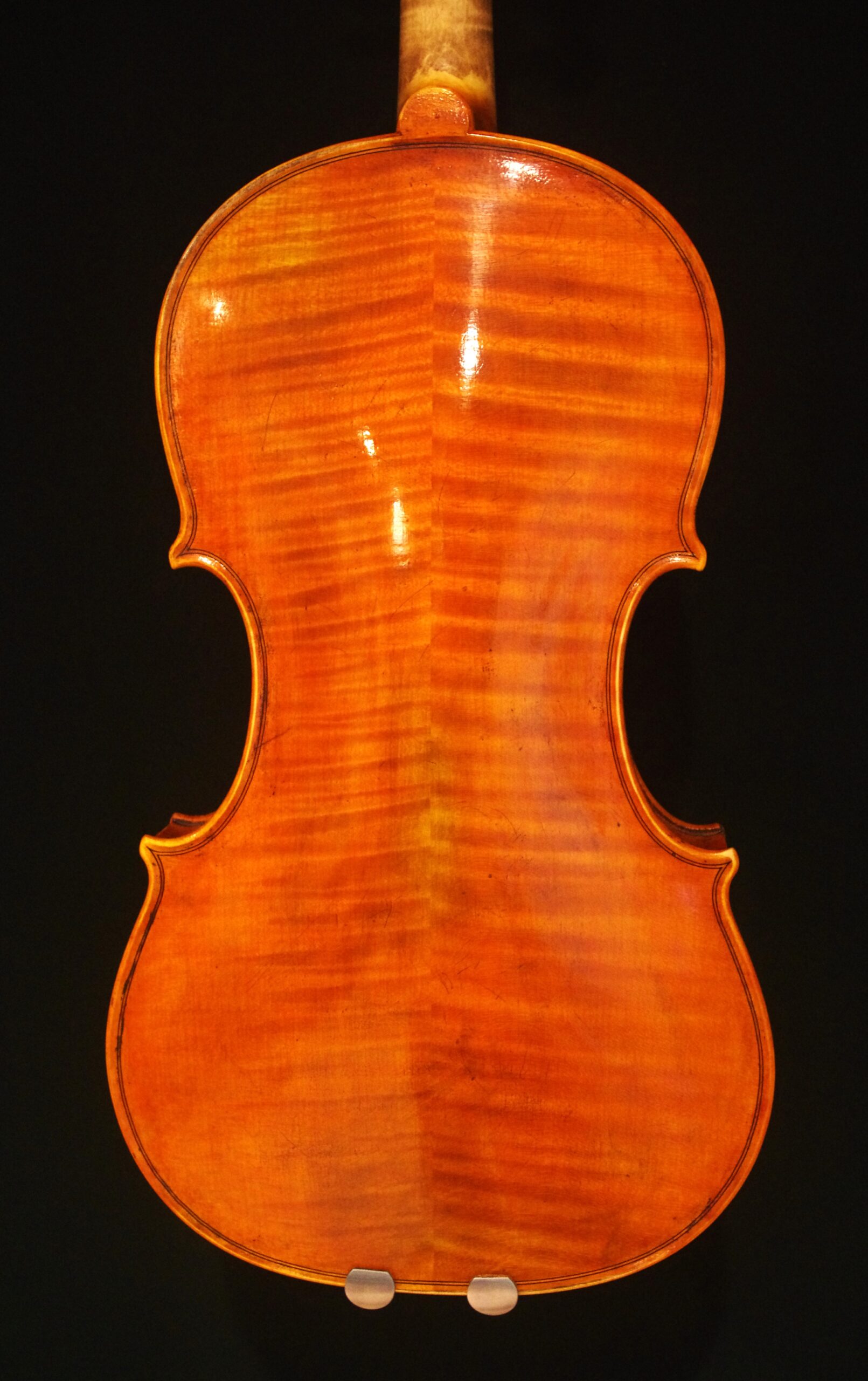 Dario Aguzzi (ダリオ・アグッツィ) 2015 - 画像 (3)