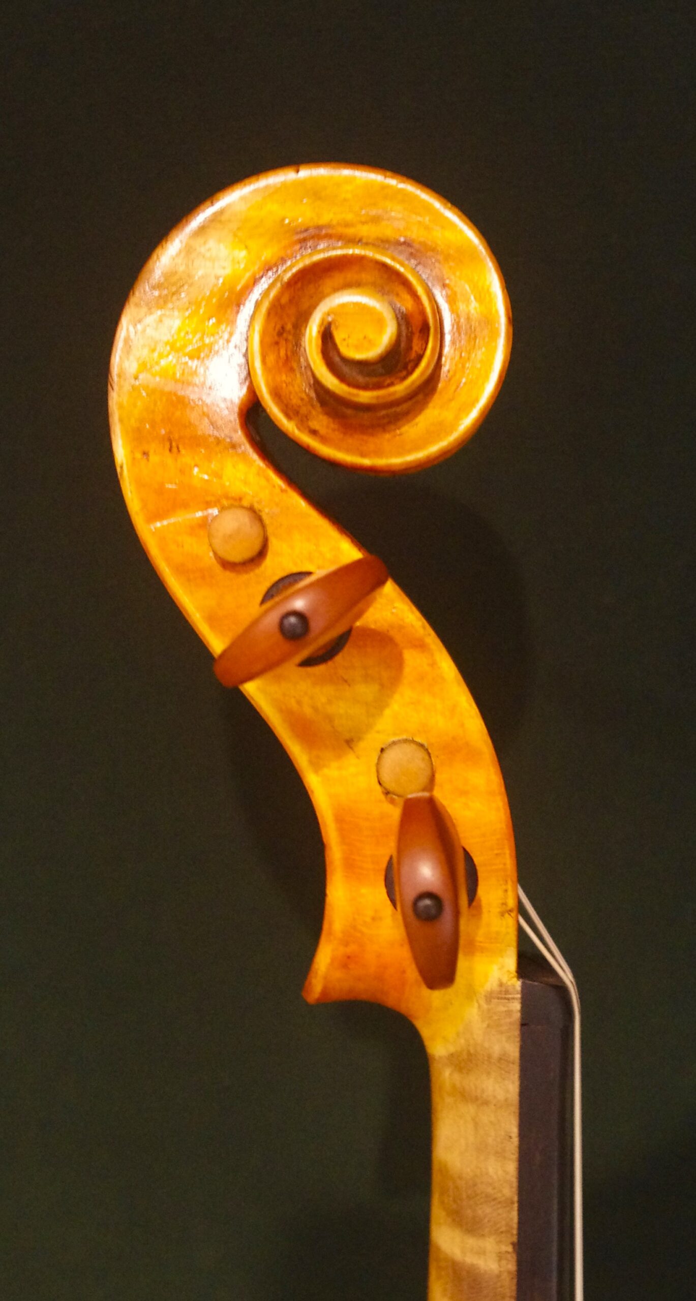 Dario Aguzzi (ダリオ・アグッツィ) 2015 - 画像 (4)