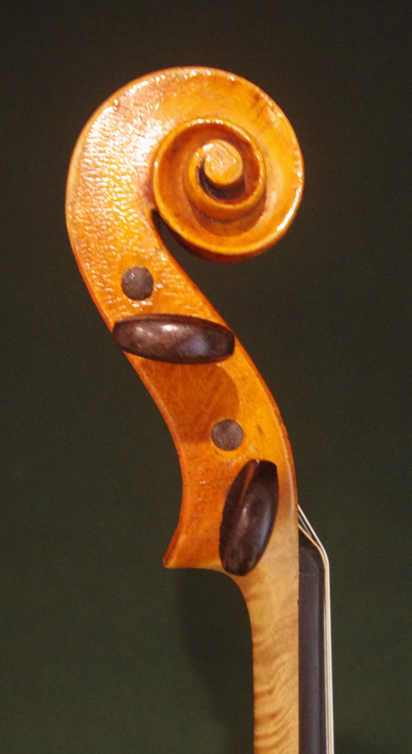 Giuseppe Castagnino (ジュゼッペ・カスタニーニョ) 1910 - 画像 (4)