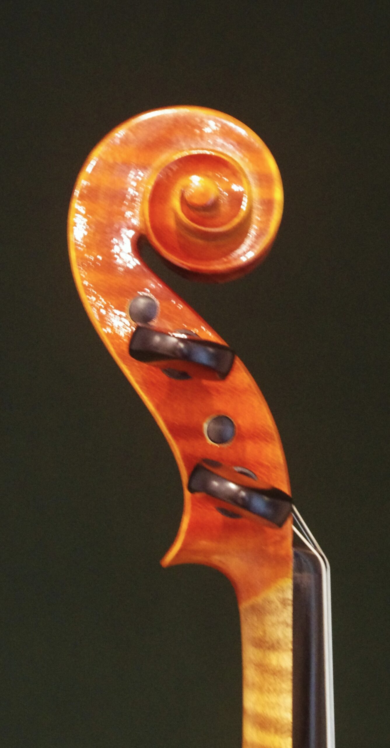 Andrea Caccia (アンドレア・カッチャ) 2021 - 画像 (4)