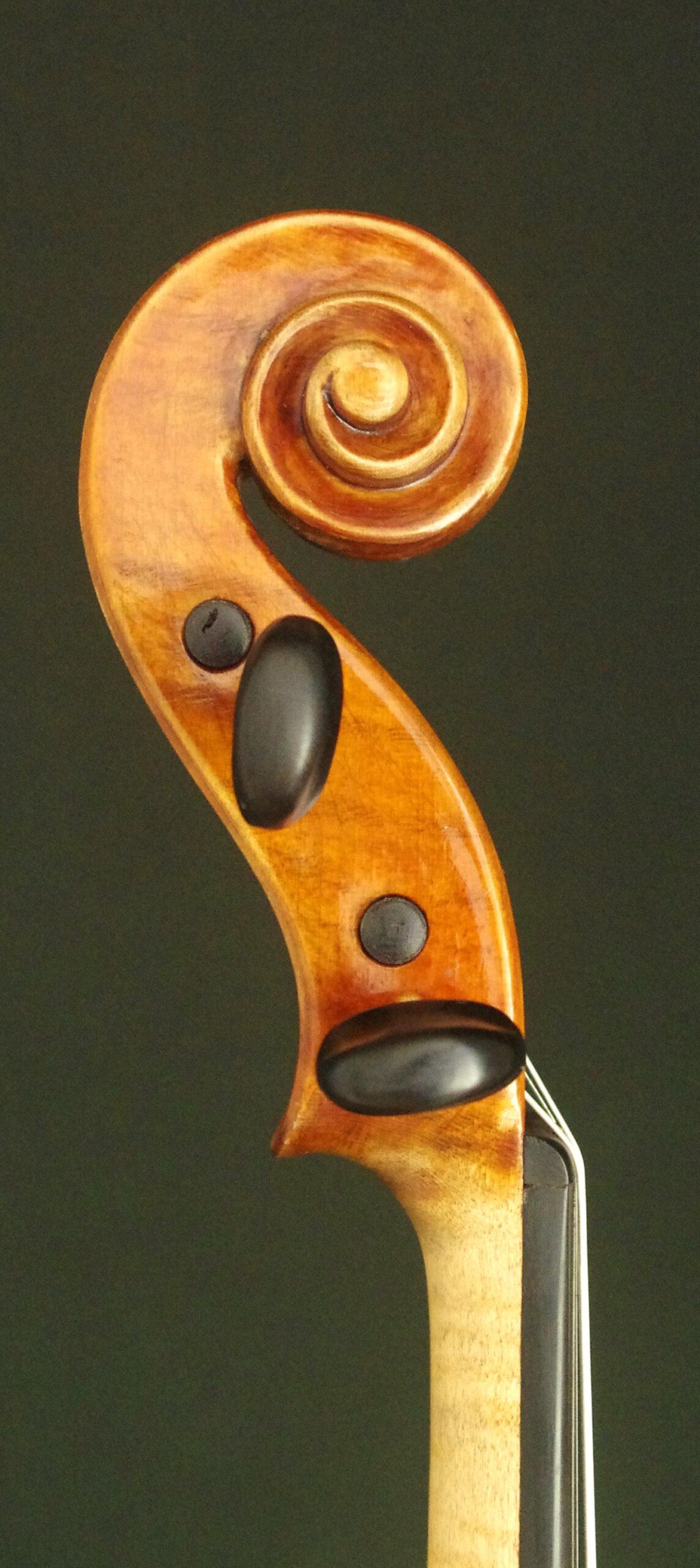 Genuzio Carletti (ジェヌツィオ・カルレッティ) 1980 - 画像 (4)