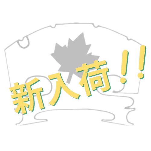 モダントリノ イタリアンヴァイオリン 新入荷のご案内