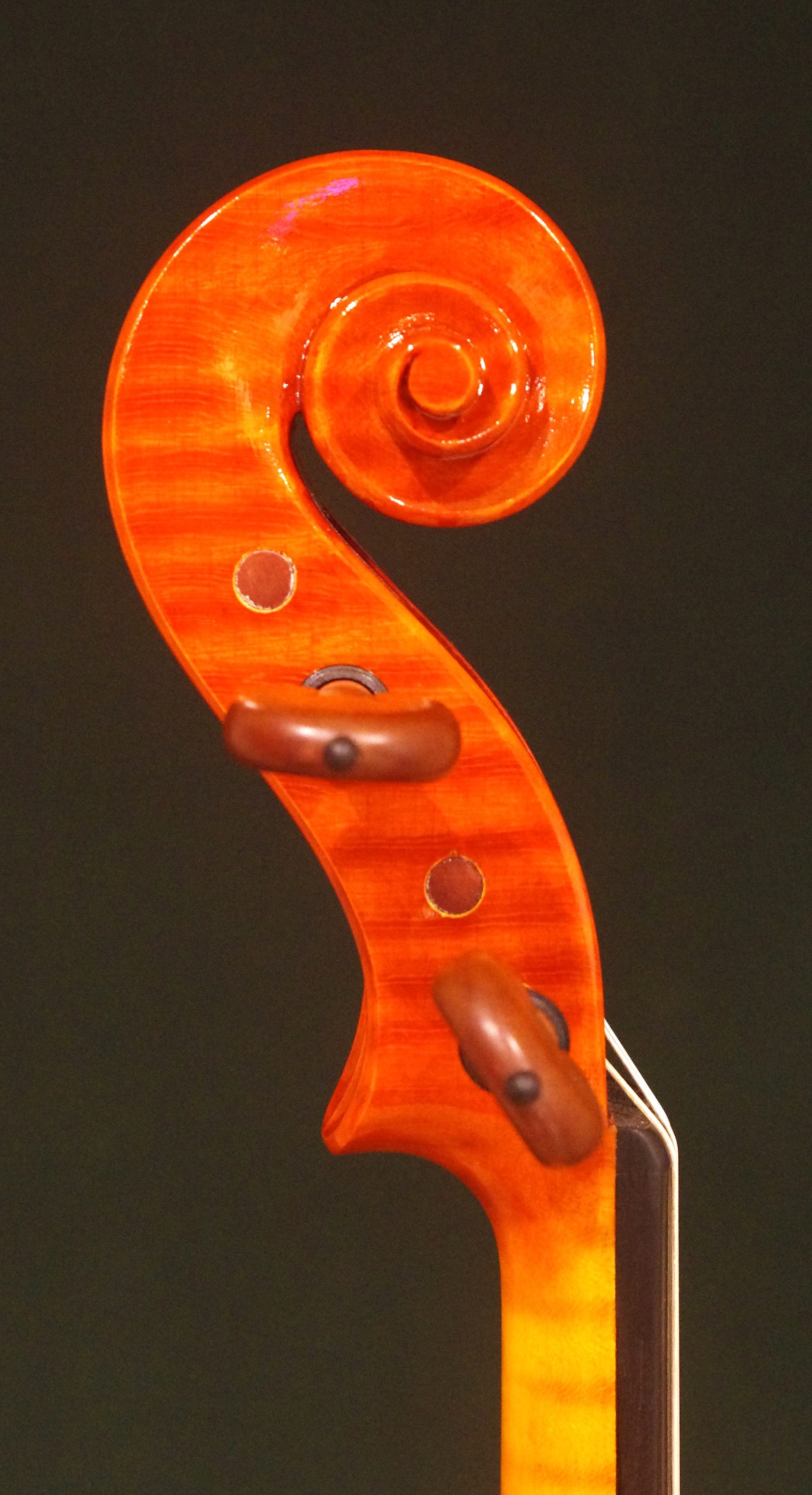 Sandro Asinari (サンドロ・アジナリ) 2024 特注品 - 画像 (4)