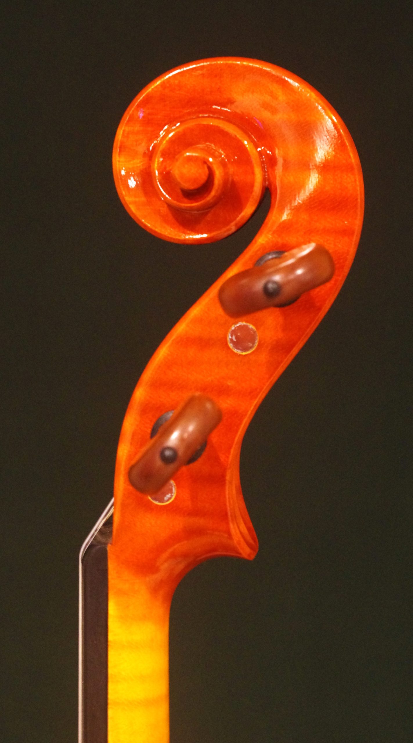 Sandro Asinari (サンドロ・アジナリ) 2024 特注品 - 画像 (5)