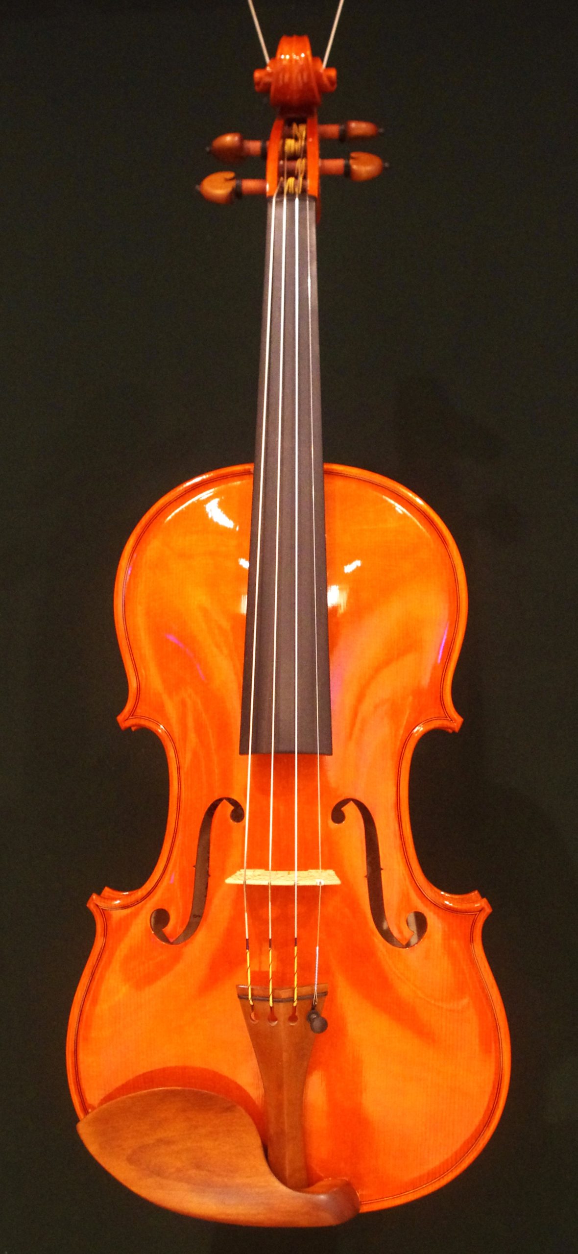 Sandro Asinari (サンドロ・アジナリ) 2024 特注品