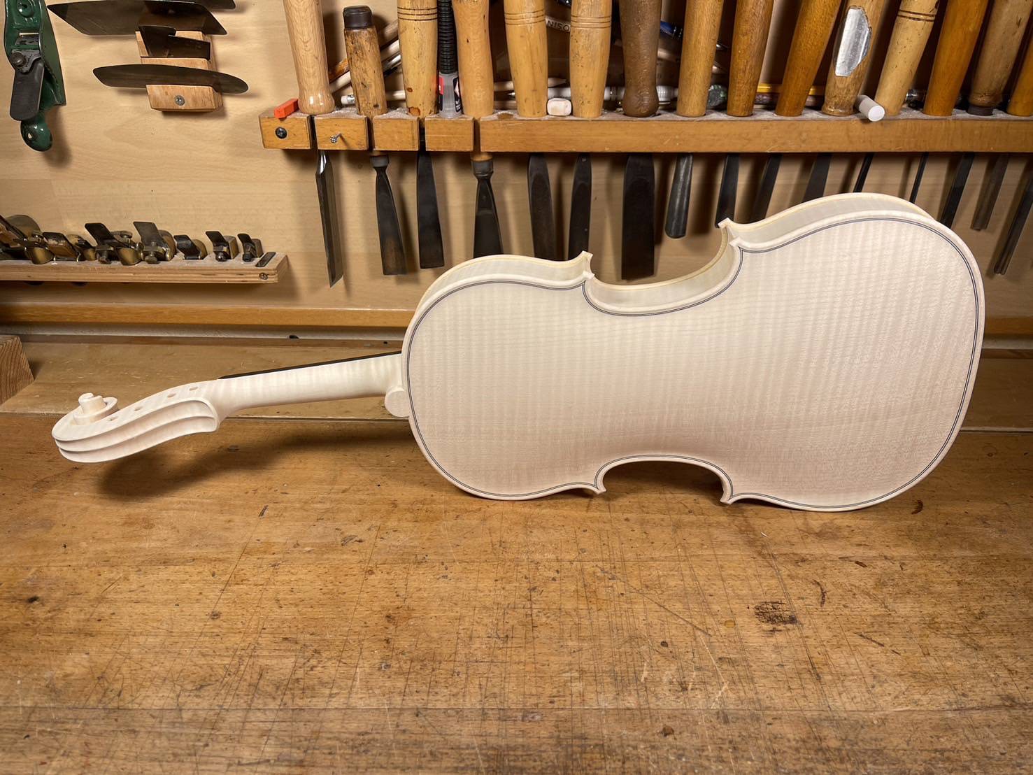 Sandro Asinari (サンドロ・アジナリ) 2024 特注品 - 画像 (9)