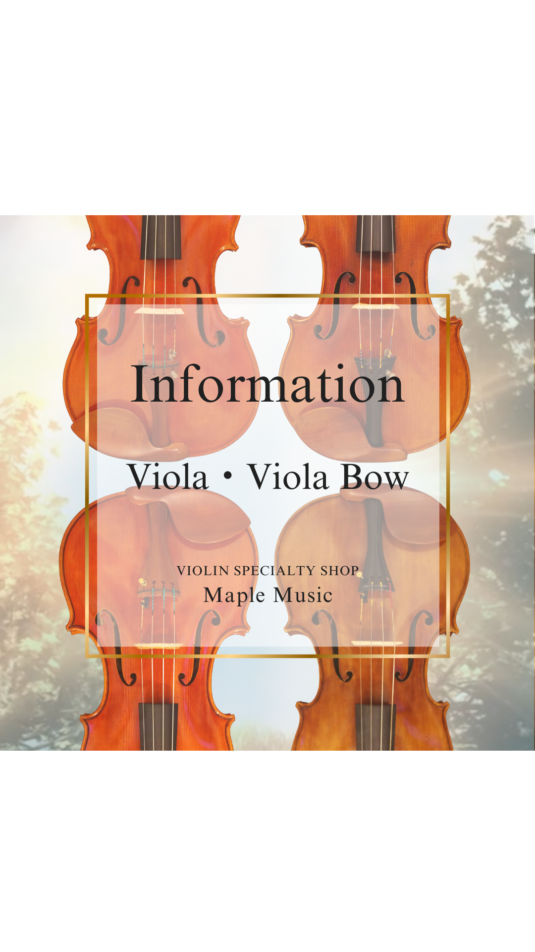 Viola ヴィオラ 続々入荷してます【Maple Music】