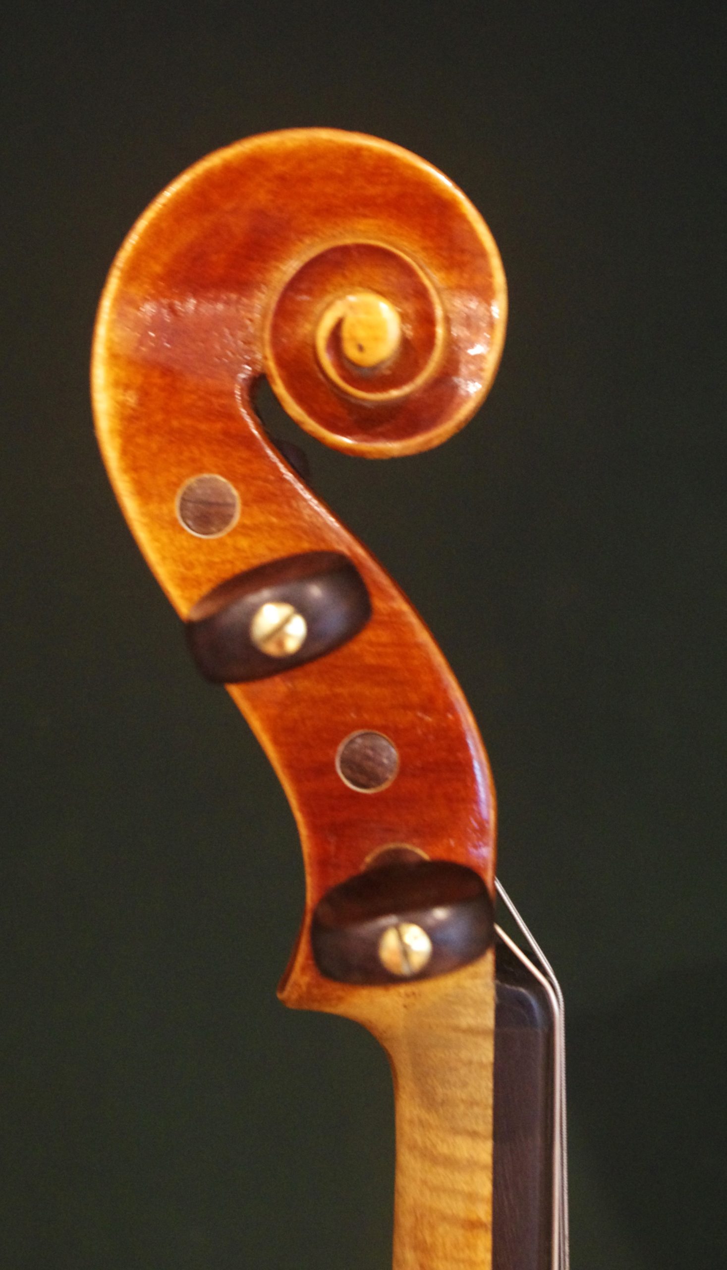 Scherl & Roth E. R. Pfretzschner Labeled (シェール&ロート E.R.フレッチナー ラベル) 1964 Va - 画像 (4)