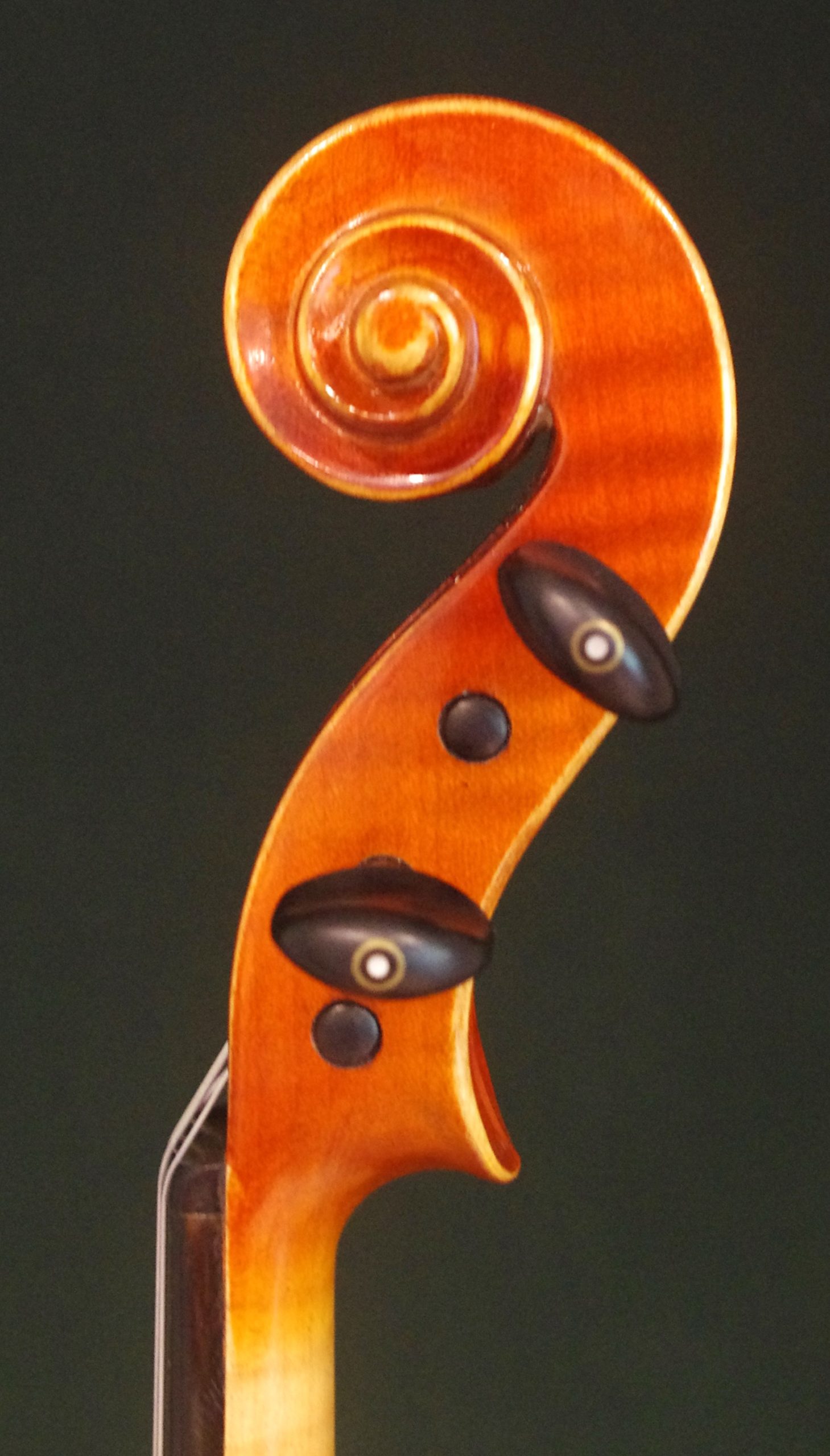 Franz Sandner Labeled (フランツ・ザンドナー ラベル) Workshop 1986 Va - 画像 (5)