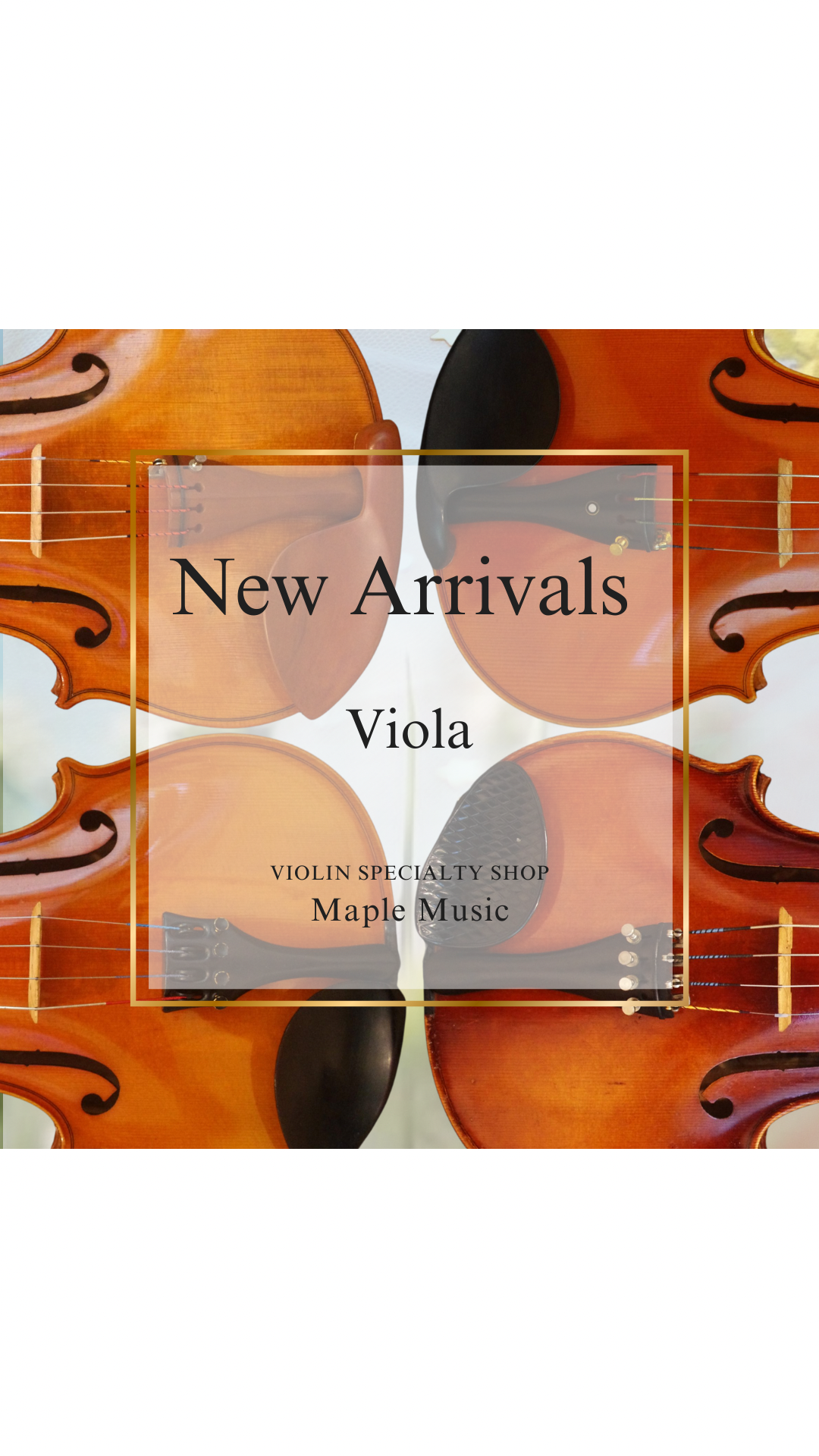 ヴィオラ 追加入荷しました ジャーマン【Maple Music】