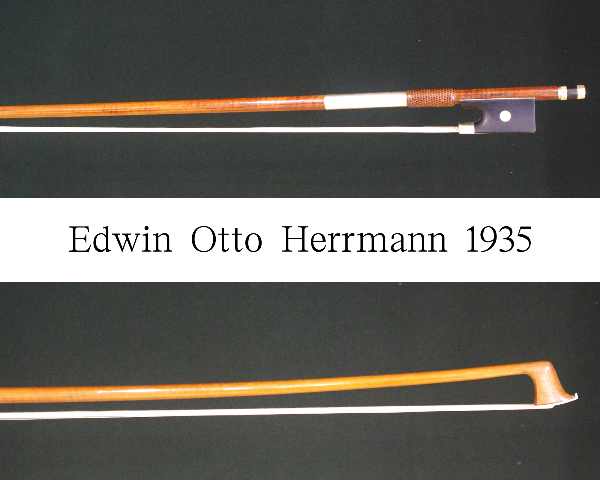 Edwin Otto Herrmann (エドウィン・オットー・ヘルマン) 1935