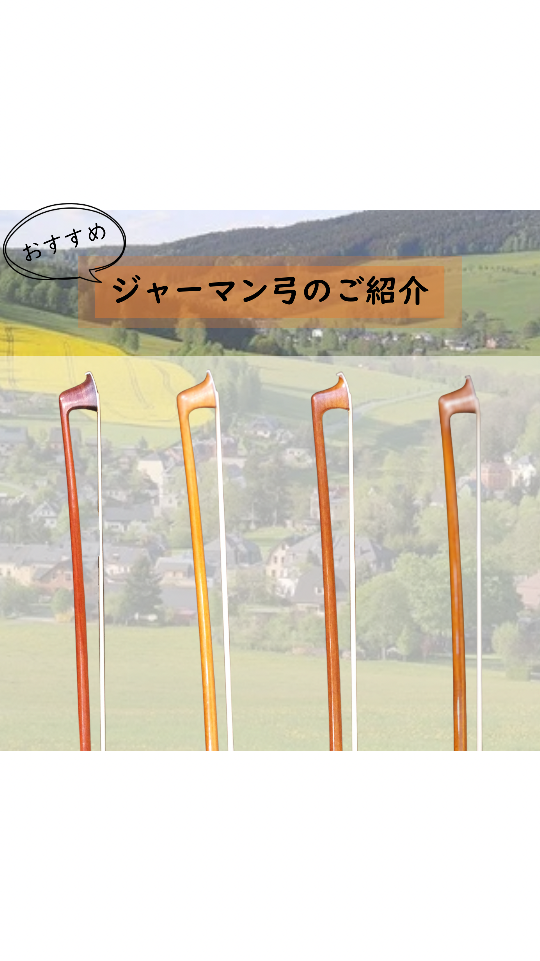 おすすめ 鑑定付 ジャーマン弓【Maple Music】